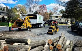 Reliable New Oxford, PA  Tree Services Solutions